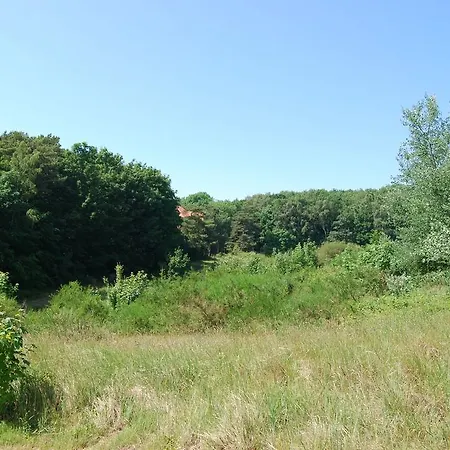 Im Hochland דירה