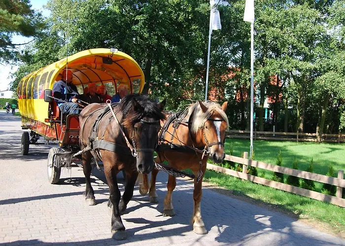 Daire Im Hochland